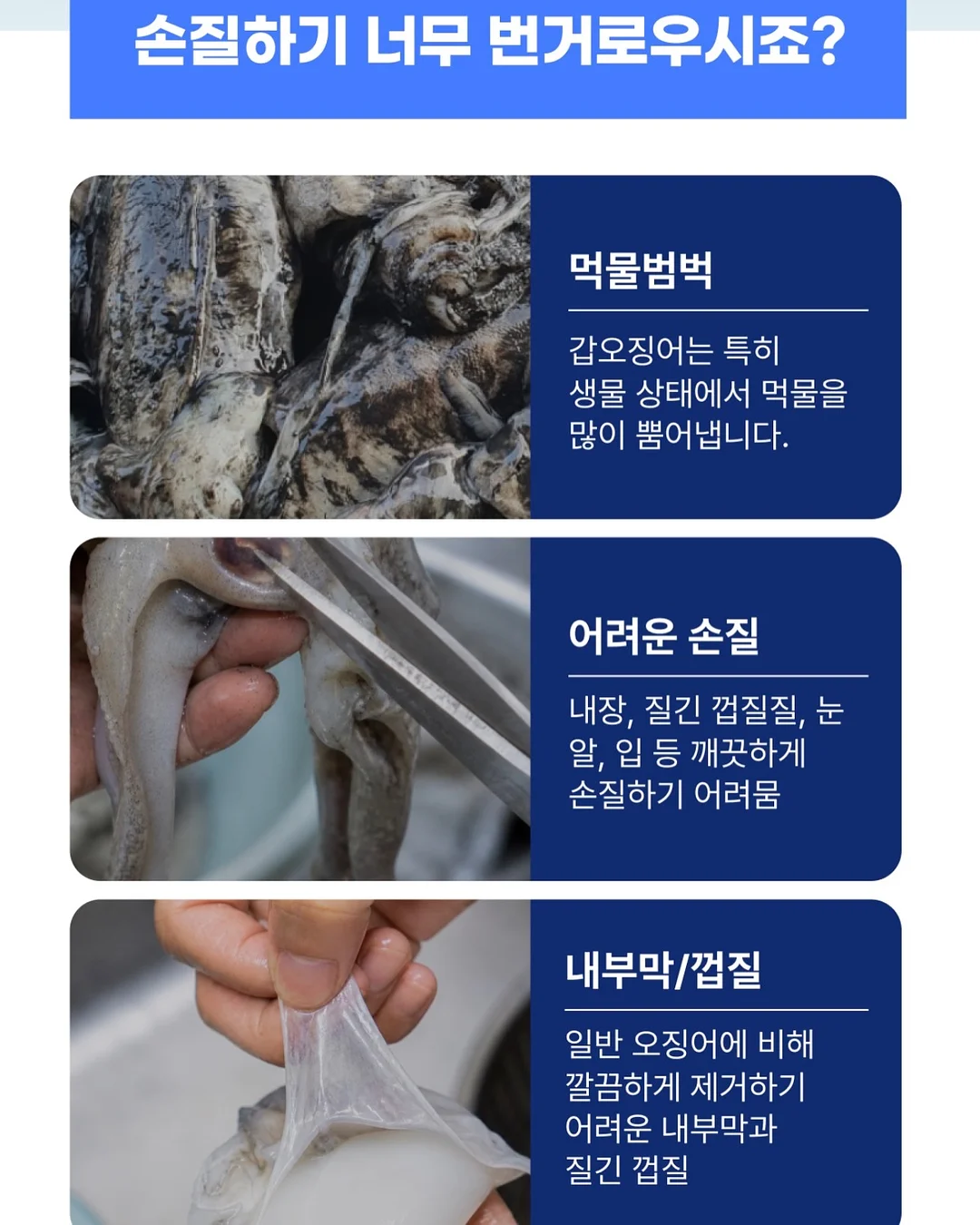 퓨어 하네스 5