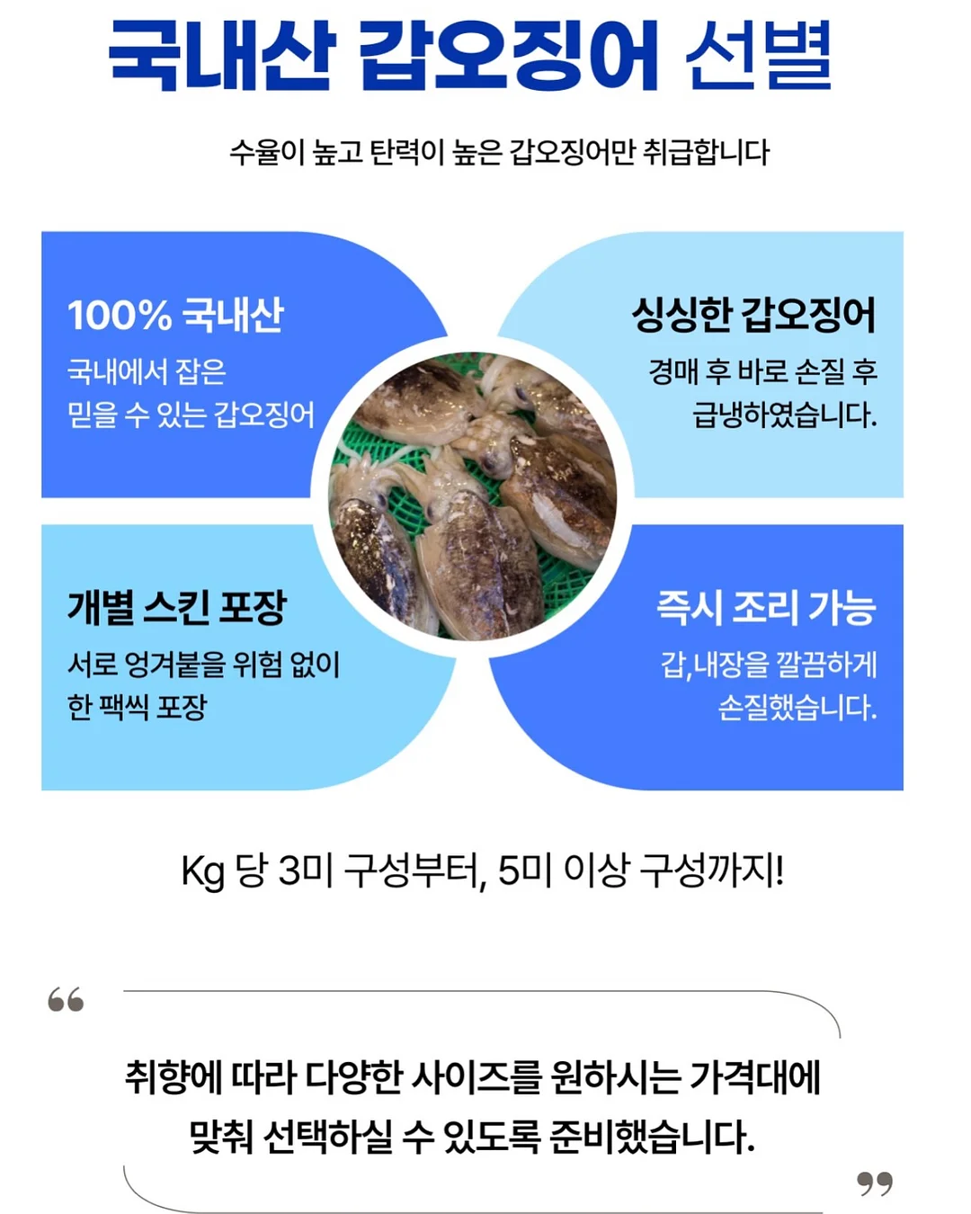 퓨어 하네스 6