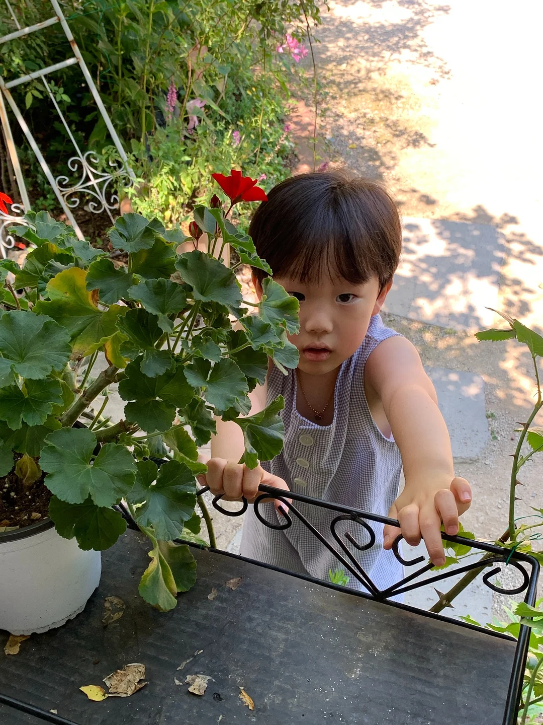 털 녹이는 제형 12