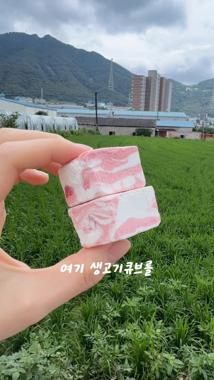 카티
