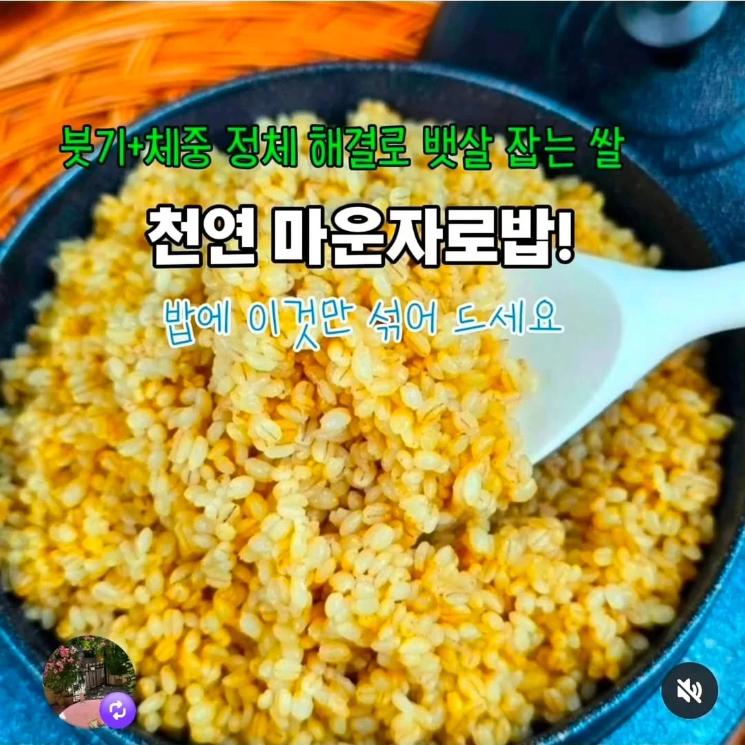 반팔 스웻셔츠 1