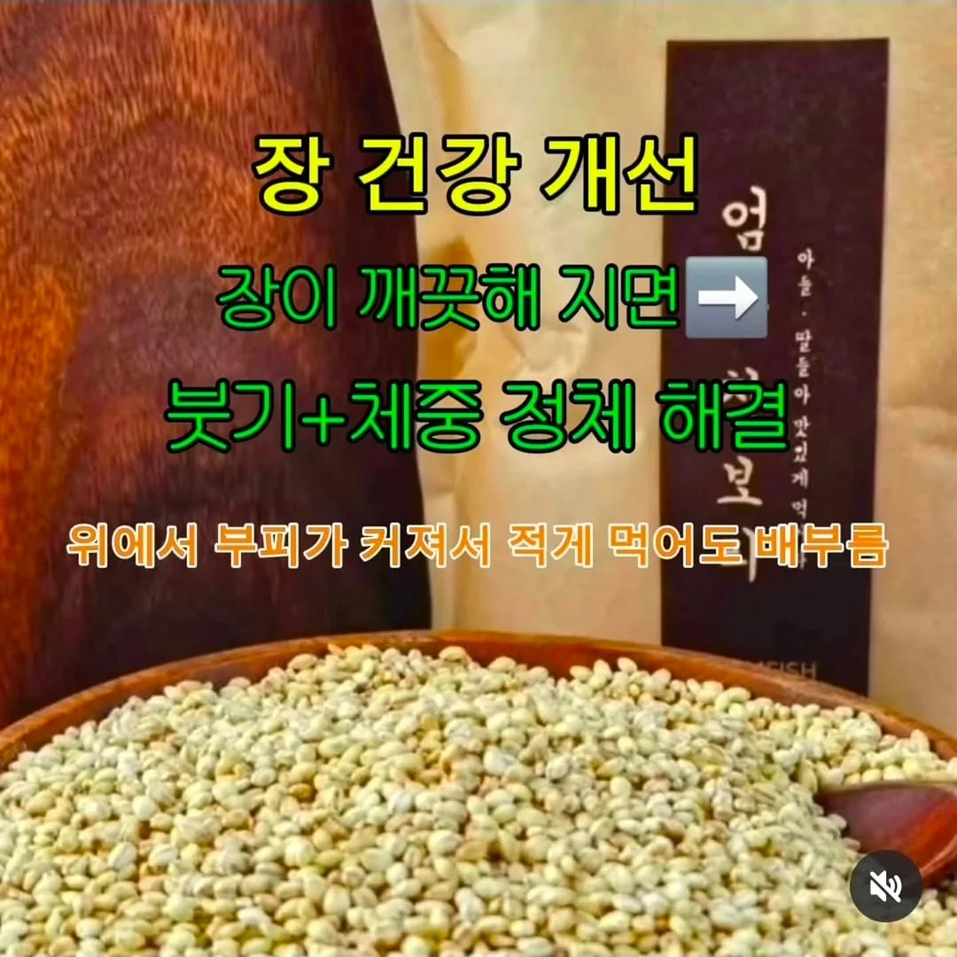 반팔 스웻셔츠 3