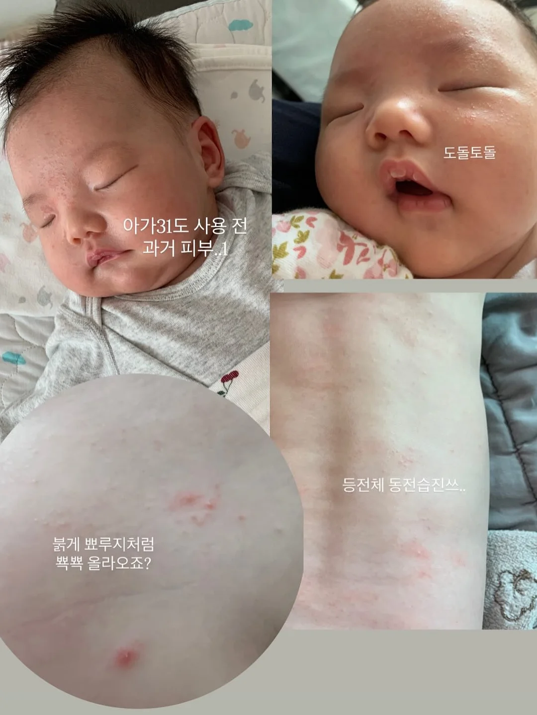룰루맘 간식 모음 5