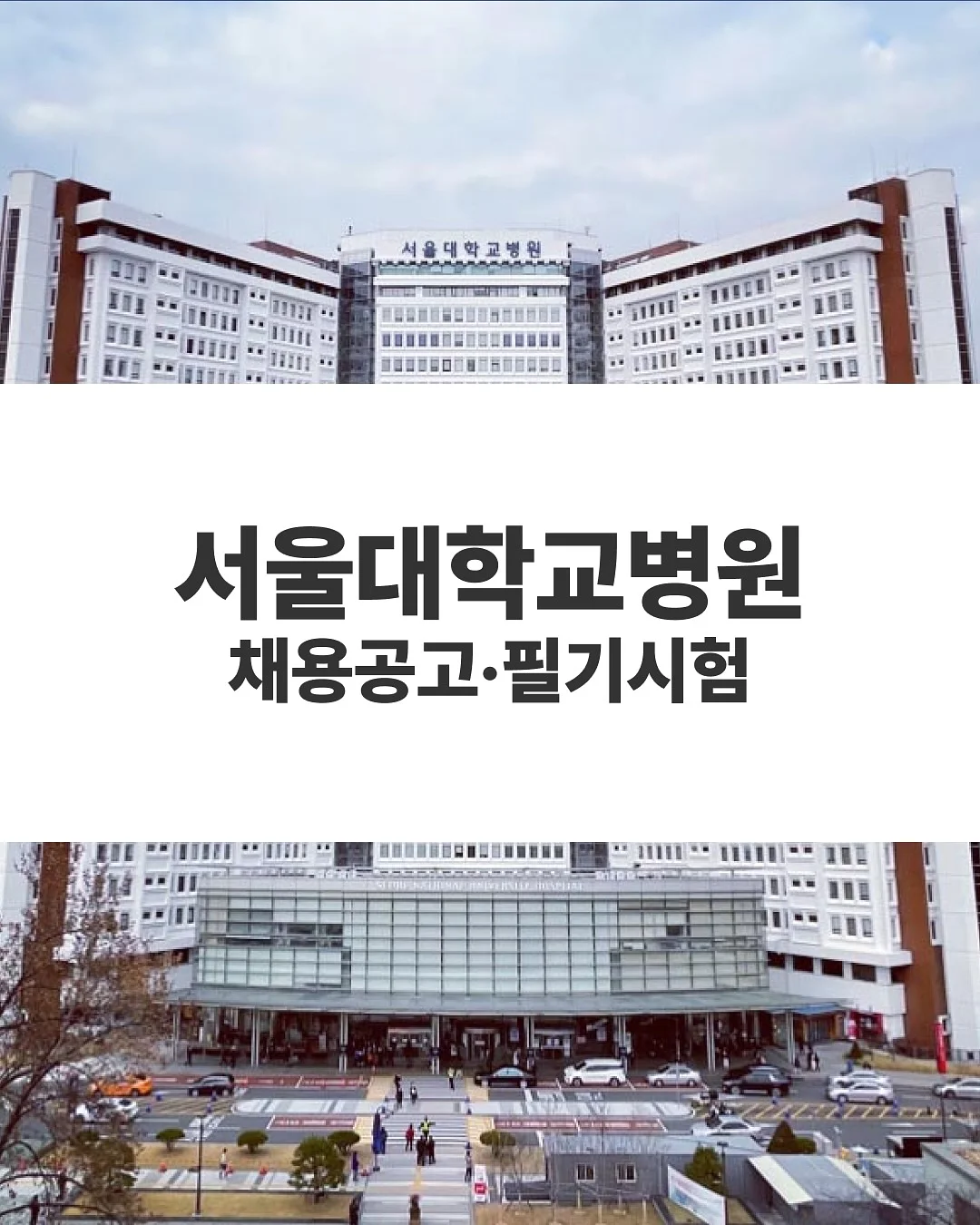 맘무 자세교정 쿠션 1