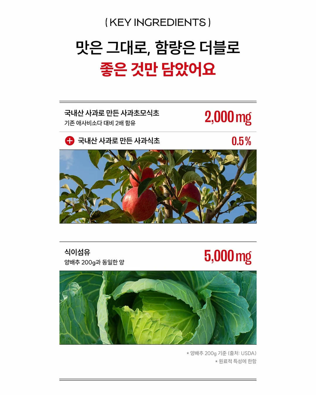 화이트 오크 식탁, 벤치, 체어 3
