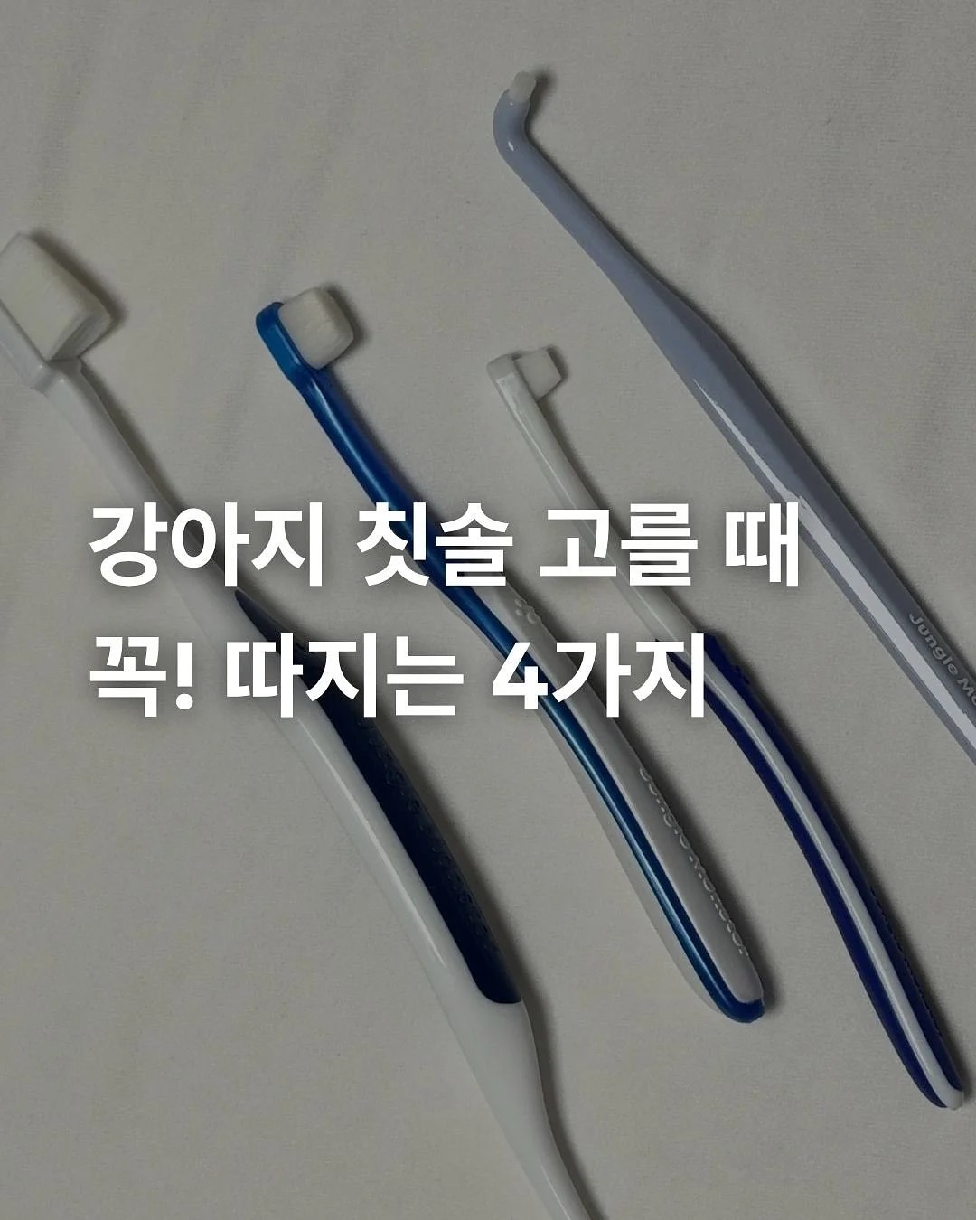 드라세나 수형 탁상용 화분 세트 1