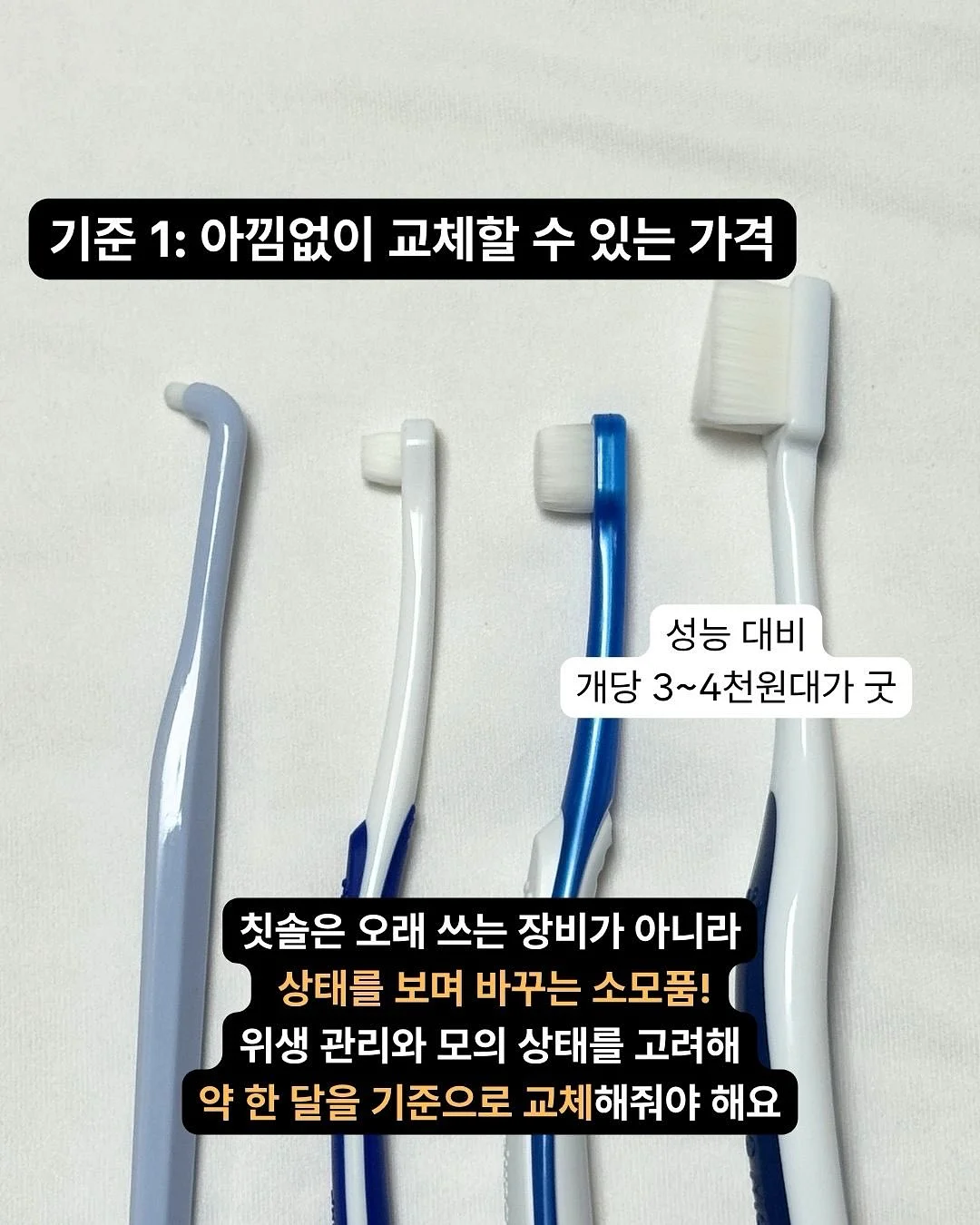 드라세나 수형 탁상용 화분 세트 2