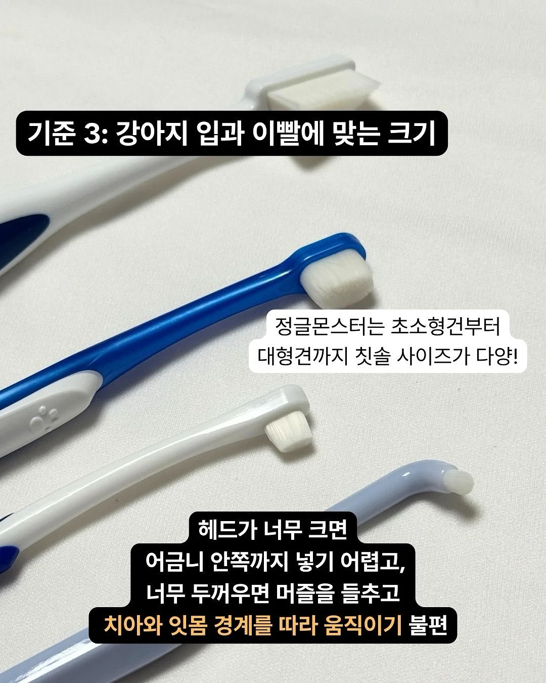 드라세나 수형 탁상용 화분 세트 4
