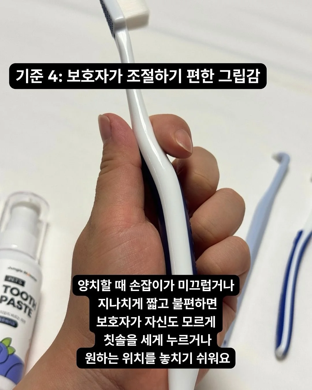 드라세나 수형 탁상용 화분 세트 5