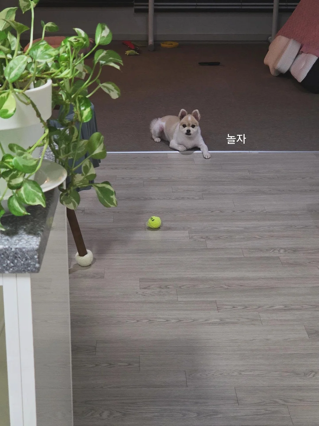 그릇정리대 3