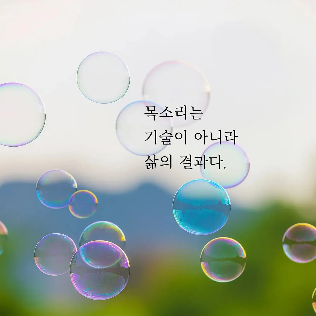 소피아골드 MS 178 R 순금 반지 3