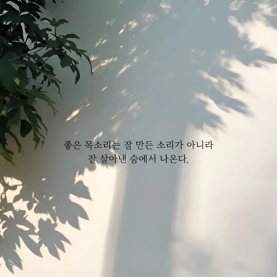소피아골드 MS 178 R 순금 반지 4