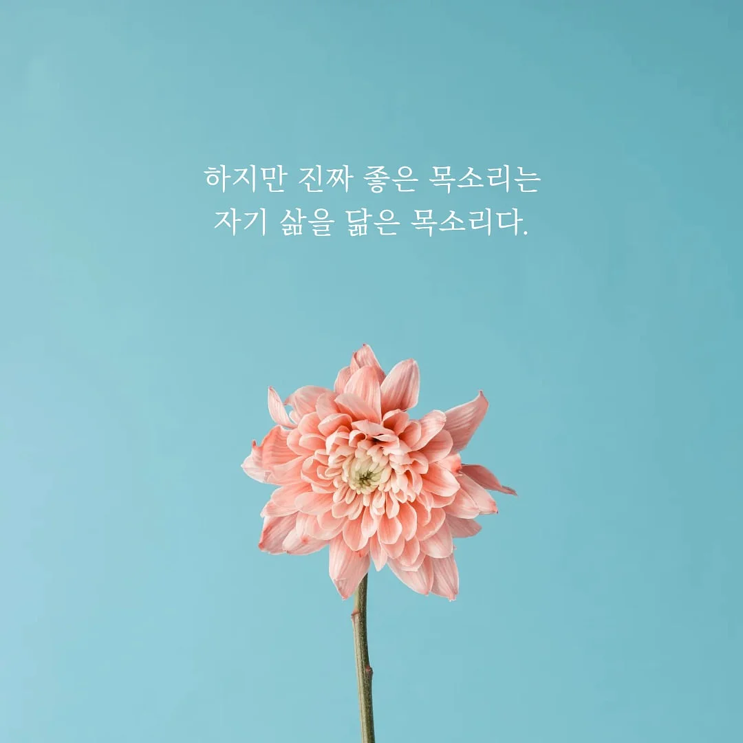 소피아골드 MS 178 R 순금 반지 6