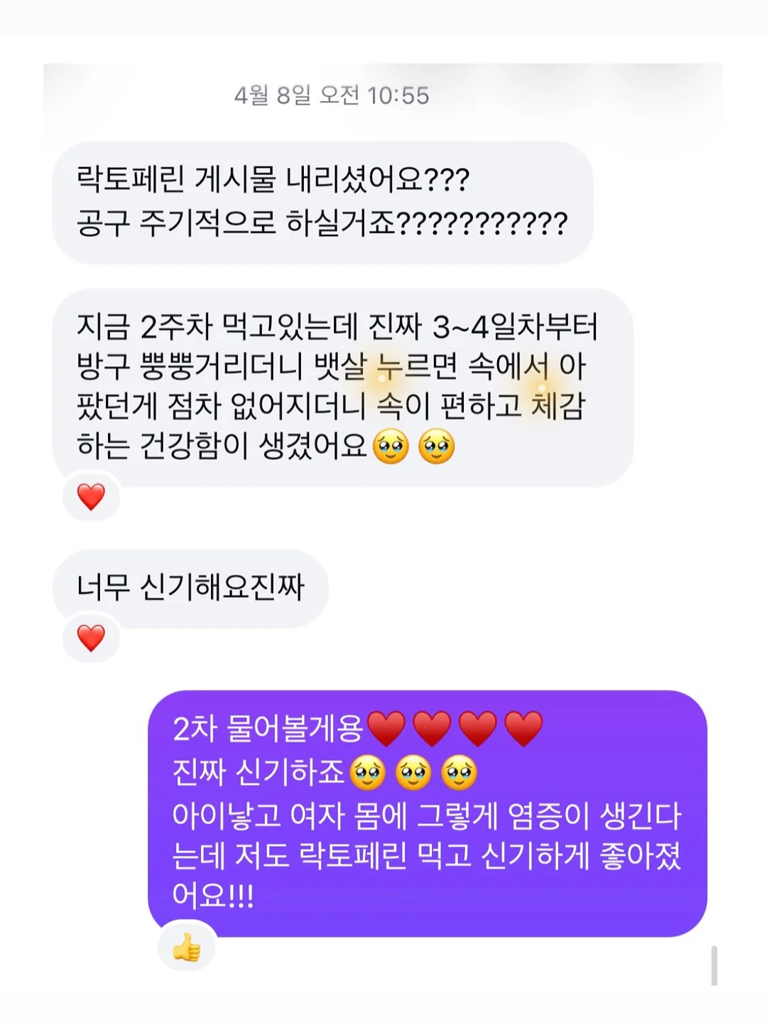 호피무늬보스톤 1