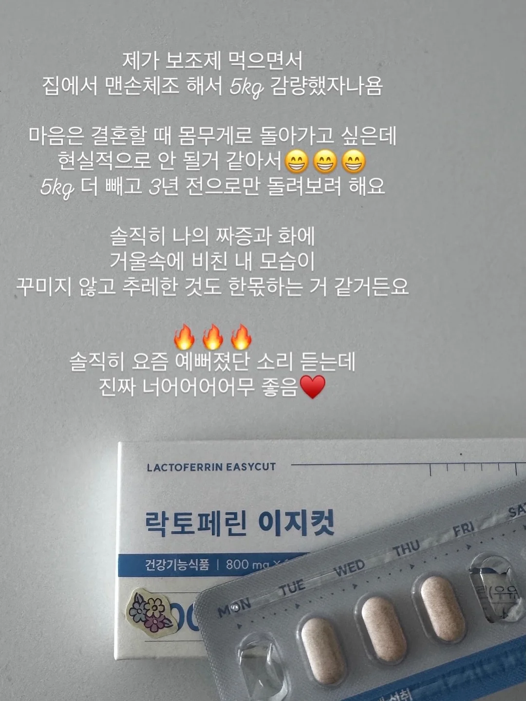 호피무늬보스톤 13