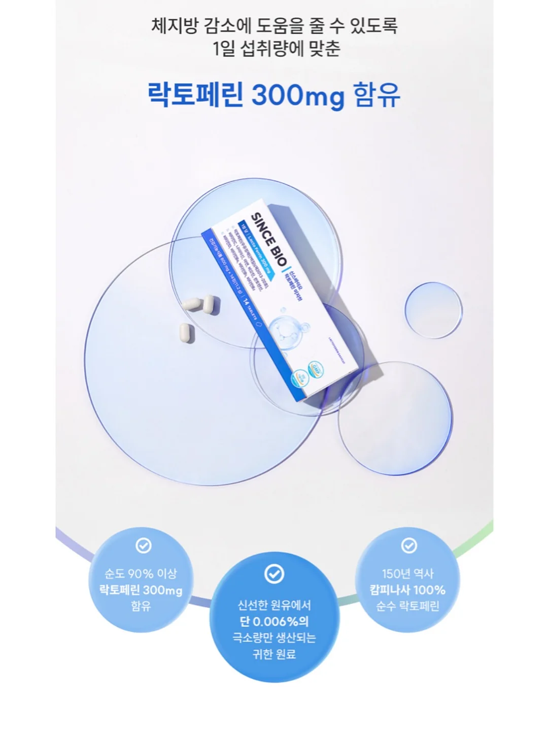 호피무늬보스톤 9