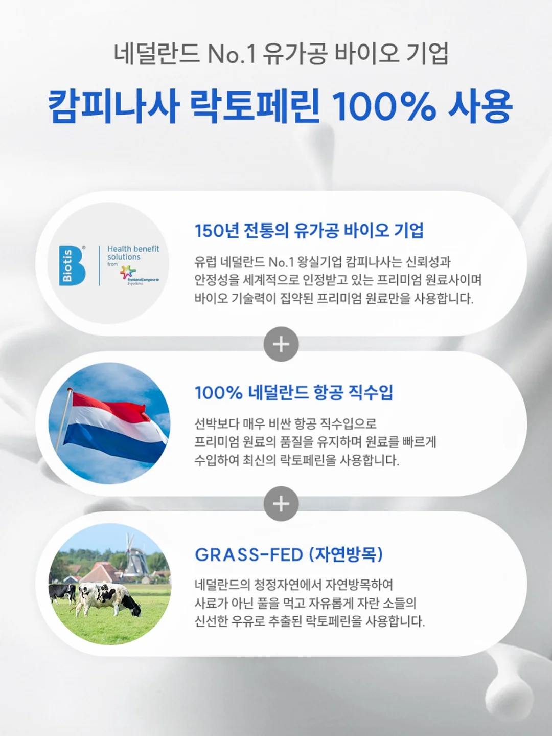 호피무늬보스톤 10