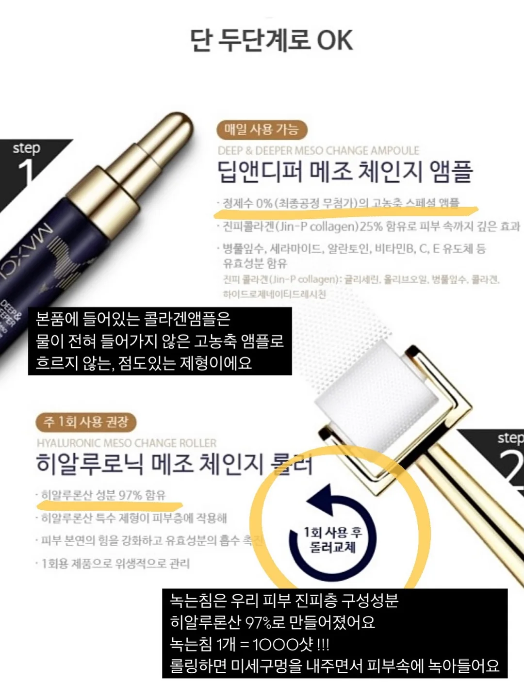커피향 나는 막실라리아 난 12