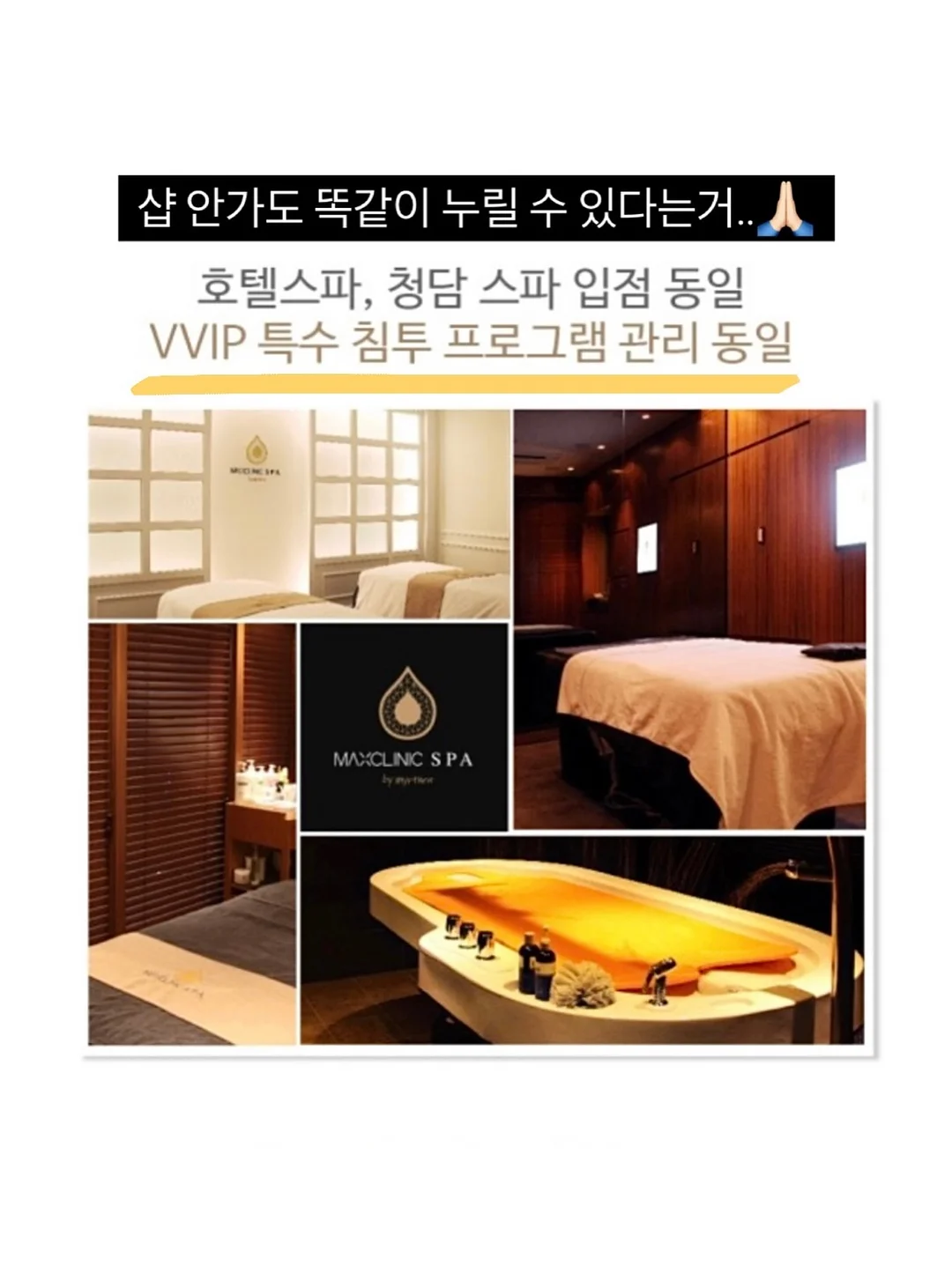 커피향 나는 막실라리아 난 17