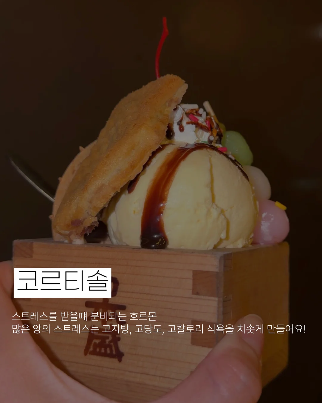 E.S.E 파드 커피 구독 서비스 4