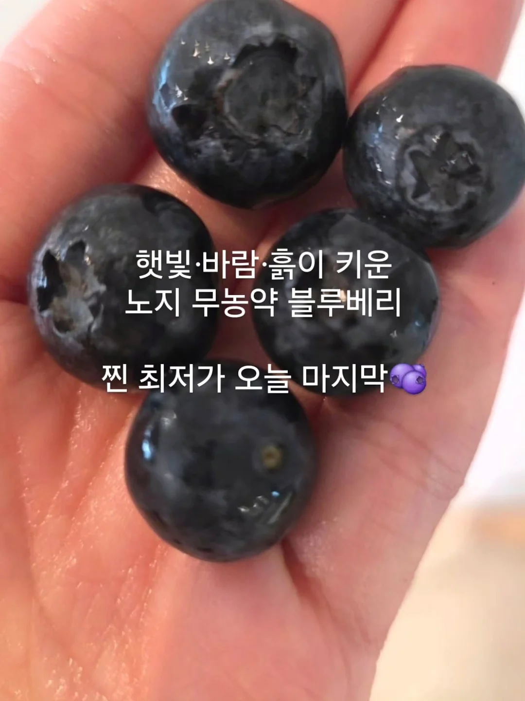 에세이 교환 독서 1