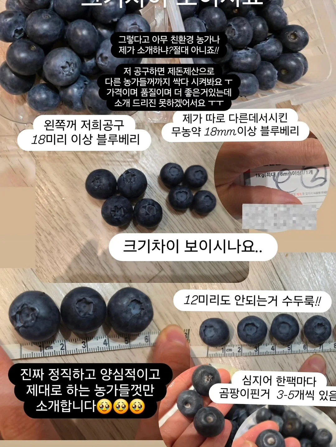 에세이 교환 독서 11