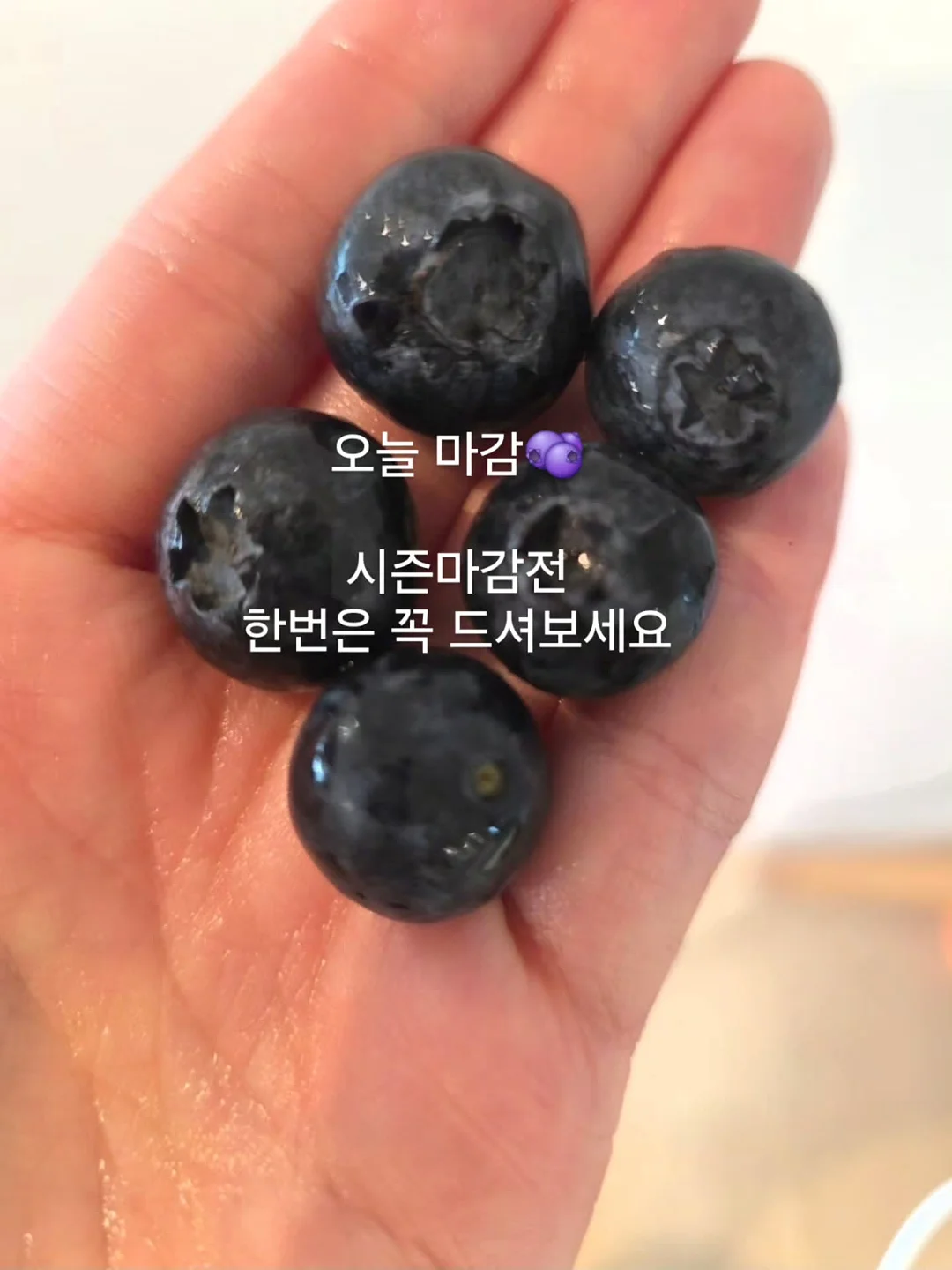 에세이 교환 독서 12