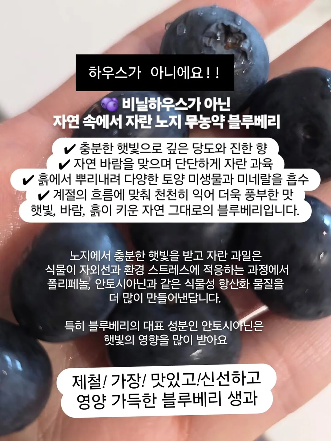 에세이 교환 독서 2