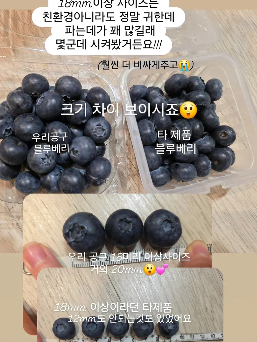에세이 교환 독서 3