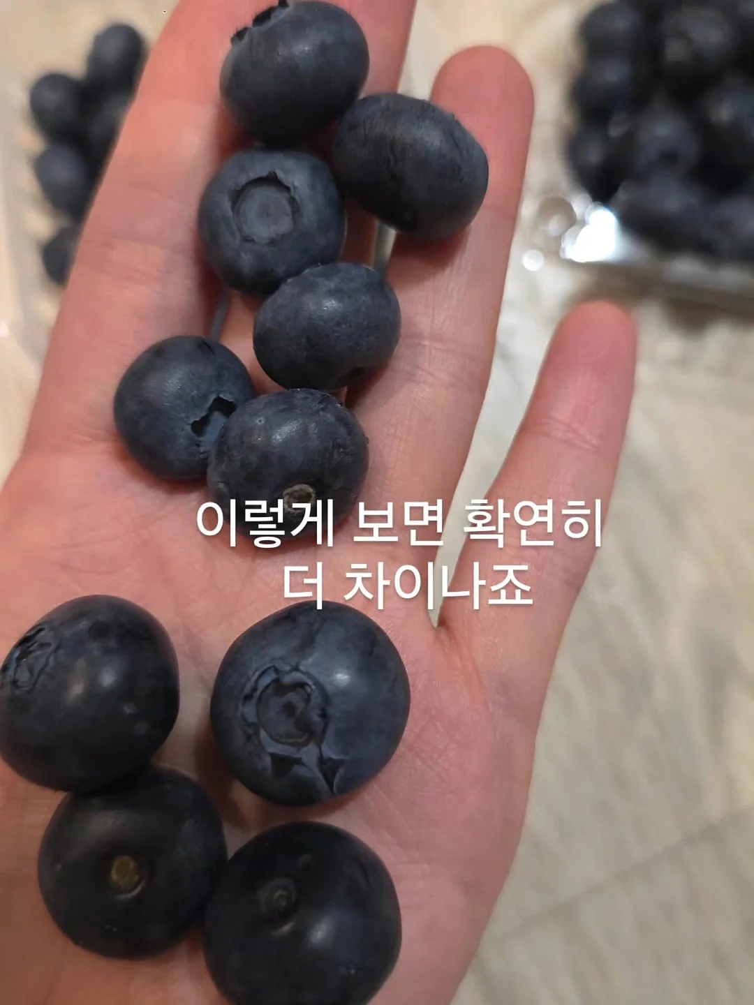 에세이 교환 독서 4