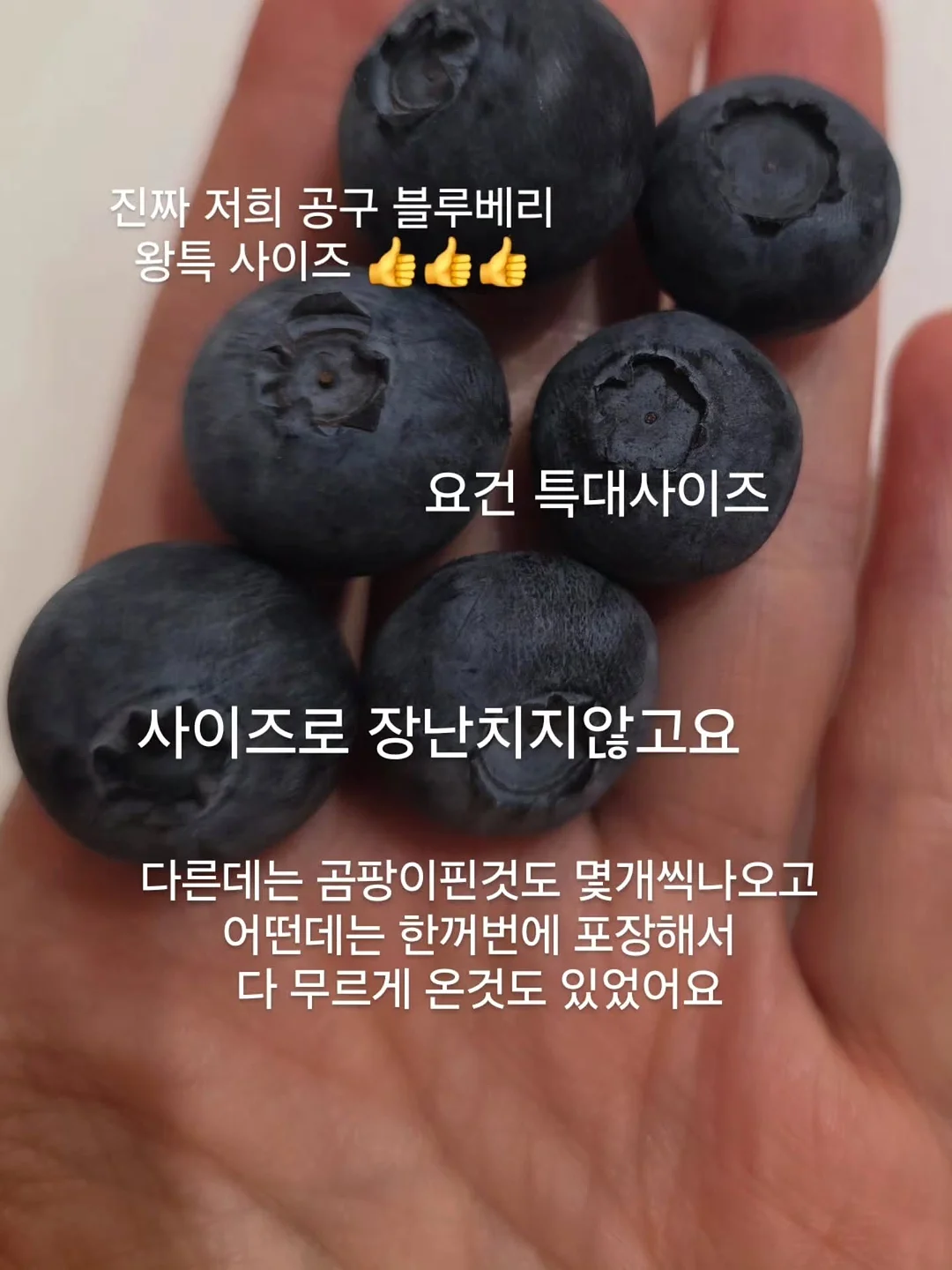 에세이 교환 독서 5