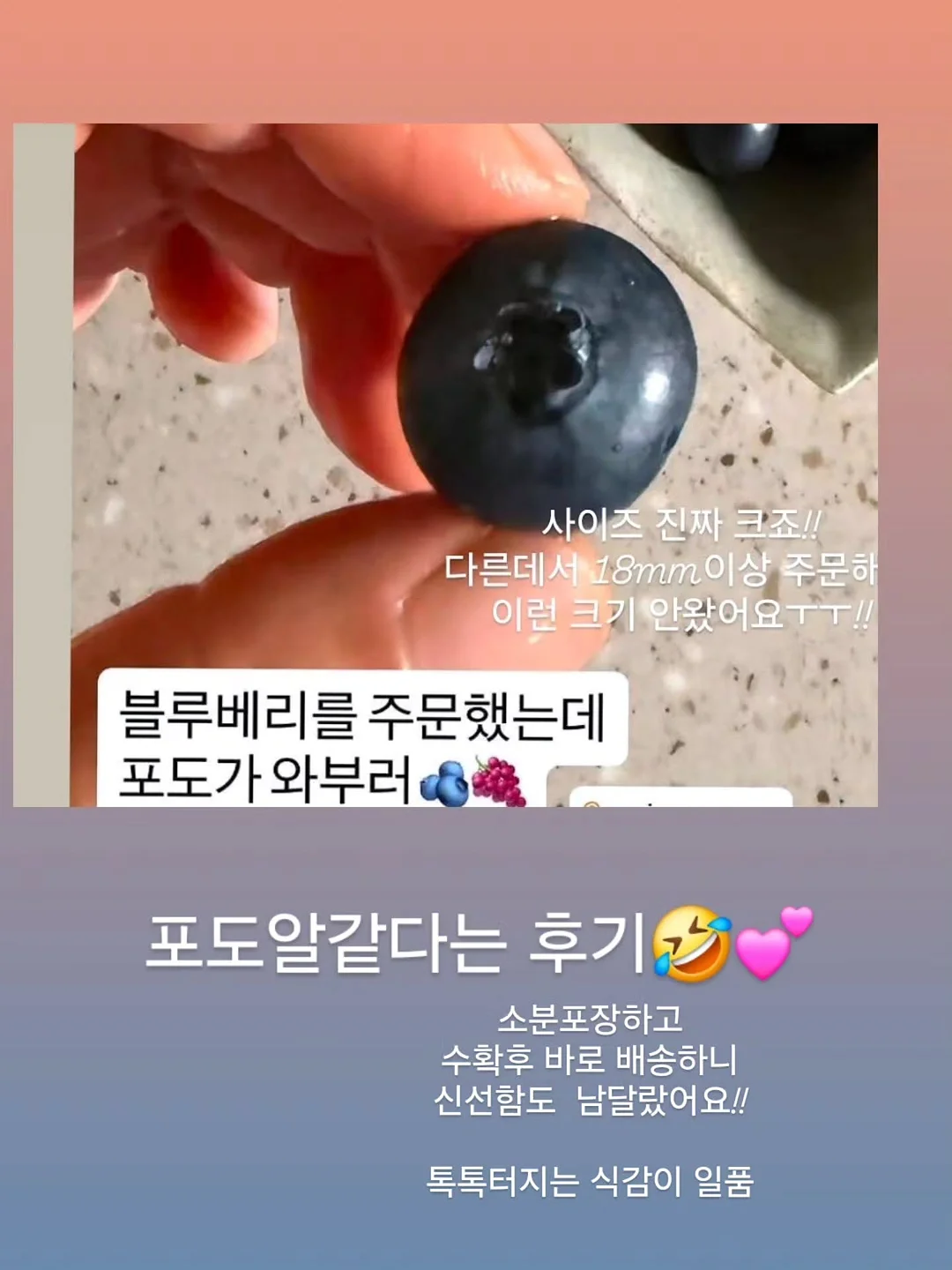 에세이 교환 독서 7