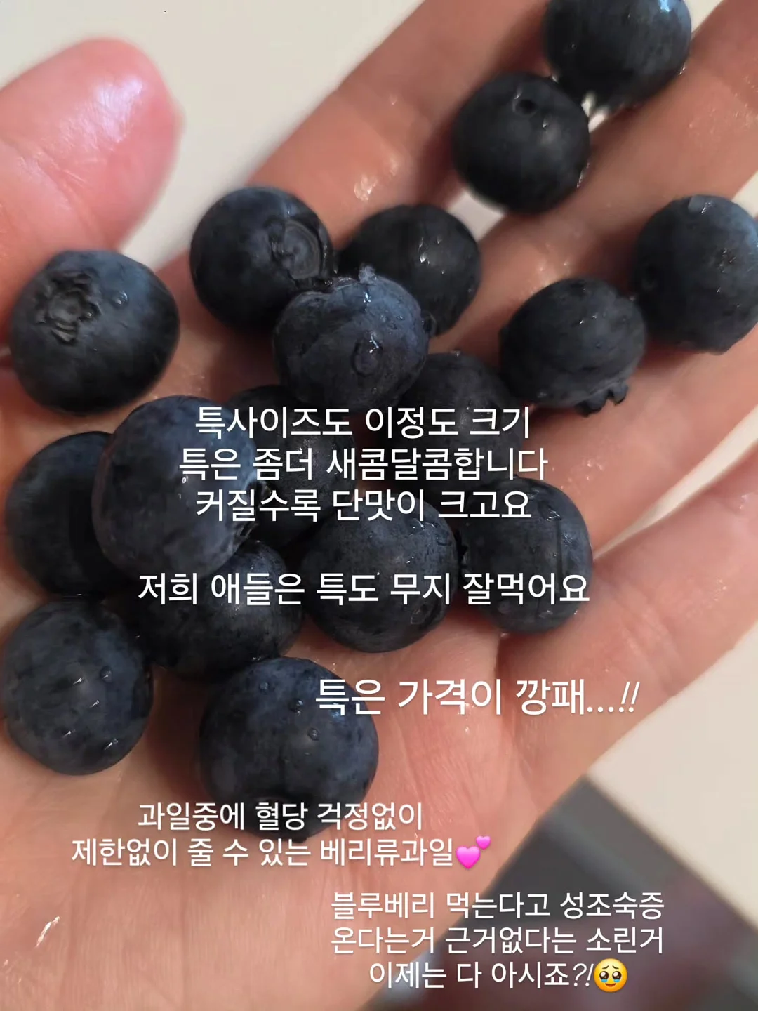 에세이 교환 독서 8