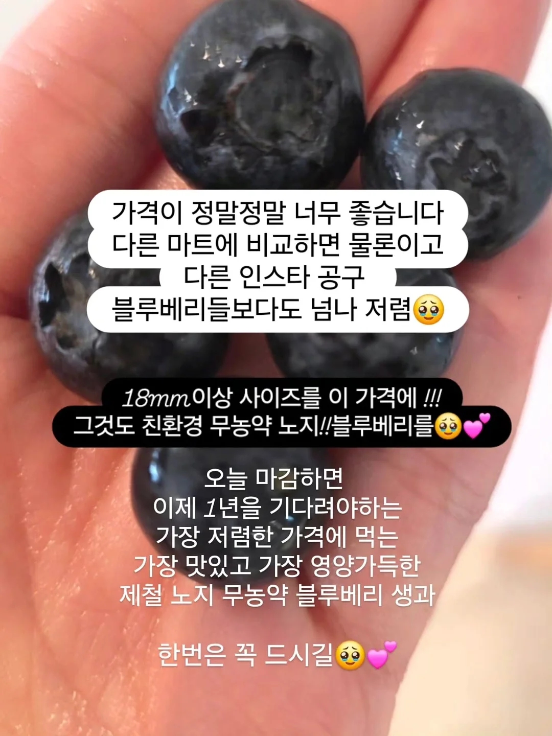 에세이 교환 독서 9
