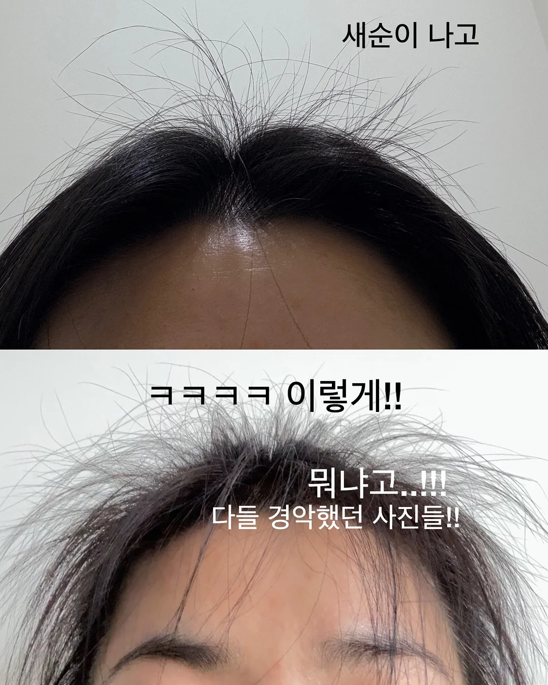 리자드 마르세이유 타로 해설집 12