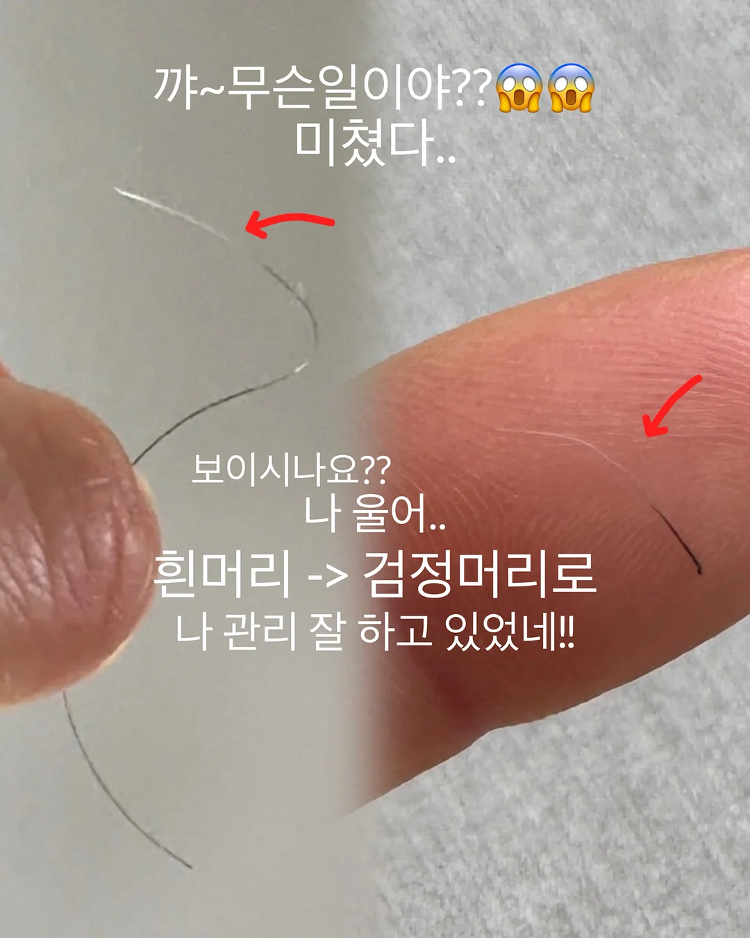 리자드 마르세이유 타로 해설집 13