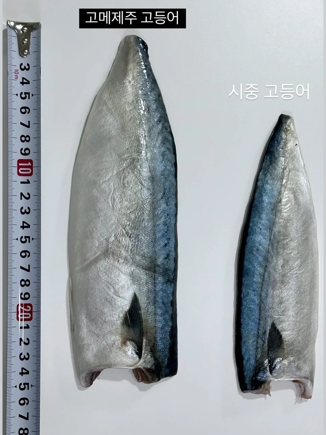 여주현 동천 洞天 독채숙소 17