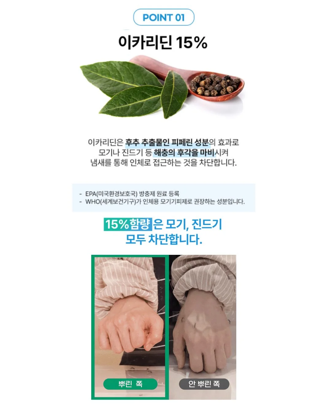 화분 5