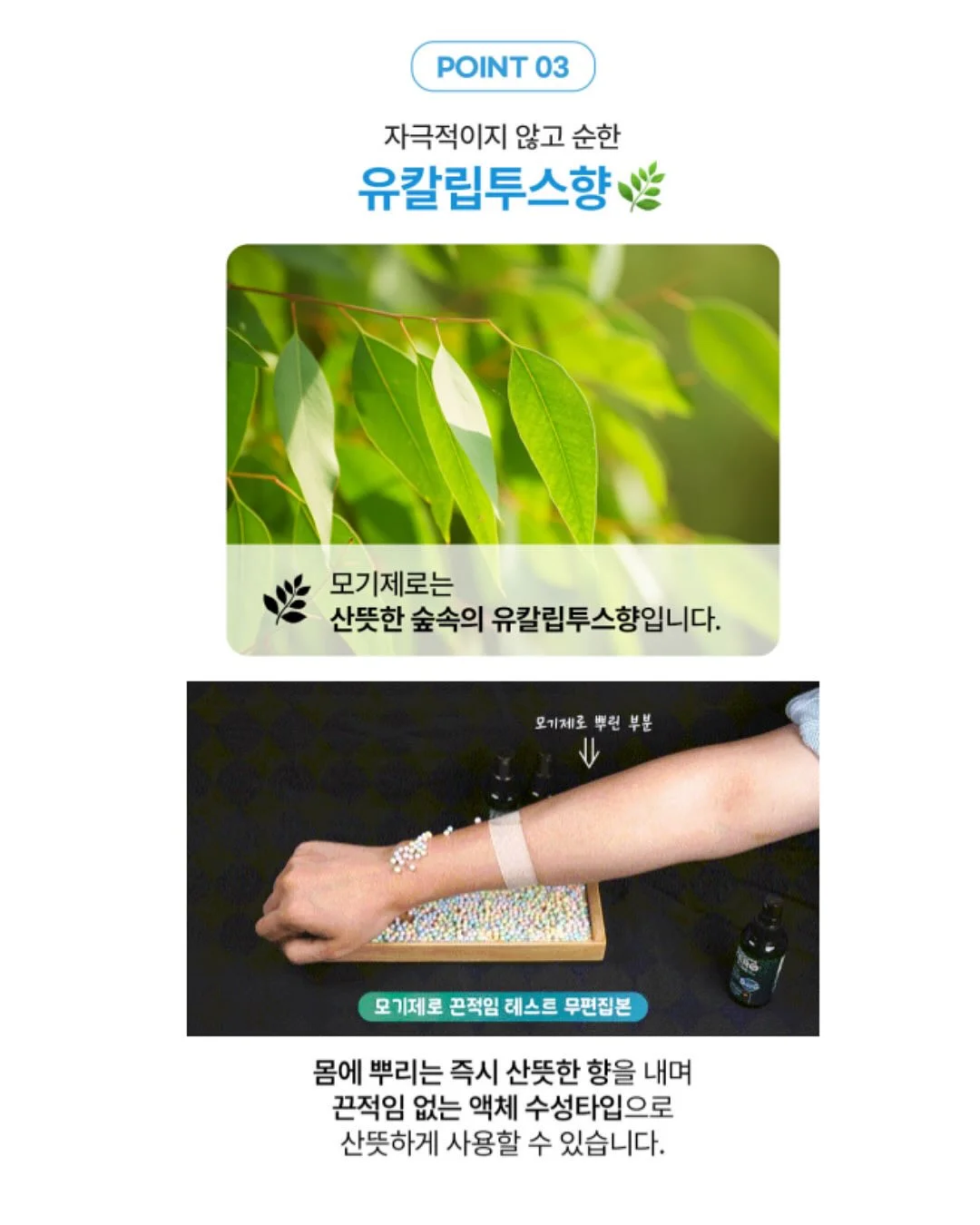 화분 7