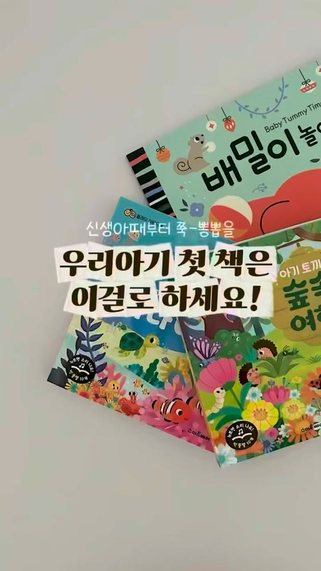 제주 감귤 쿠키
