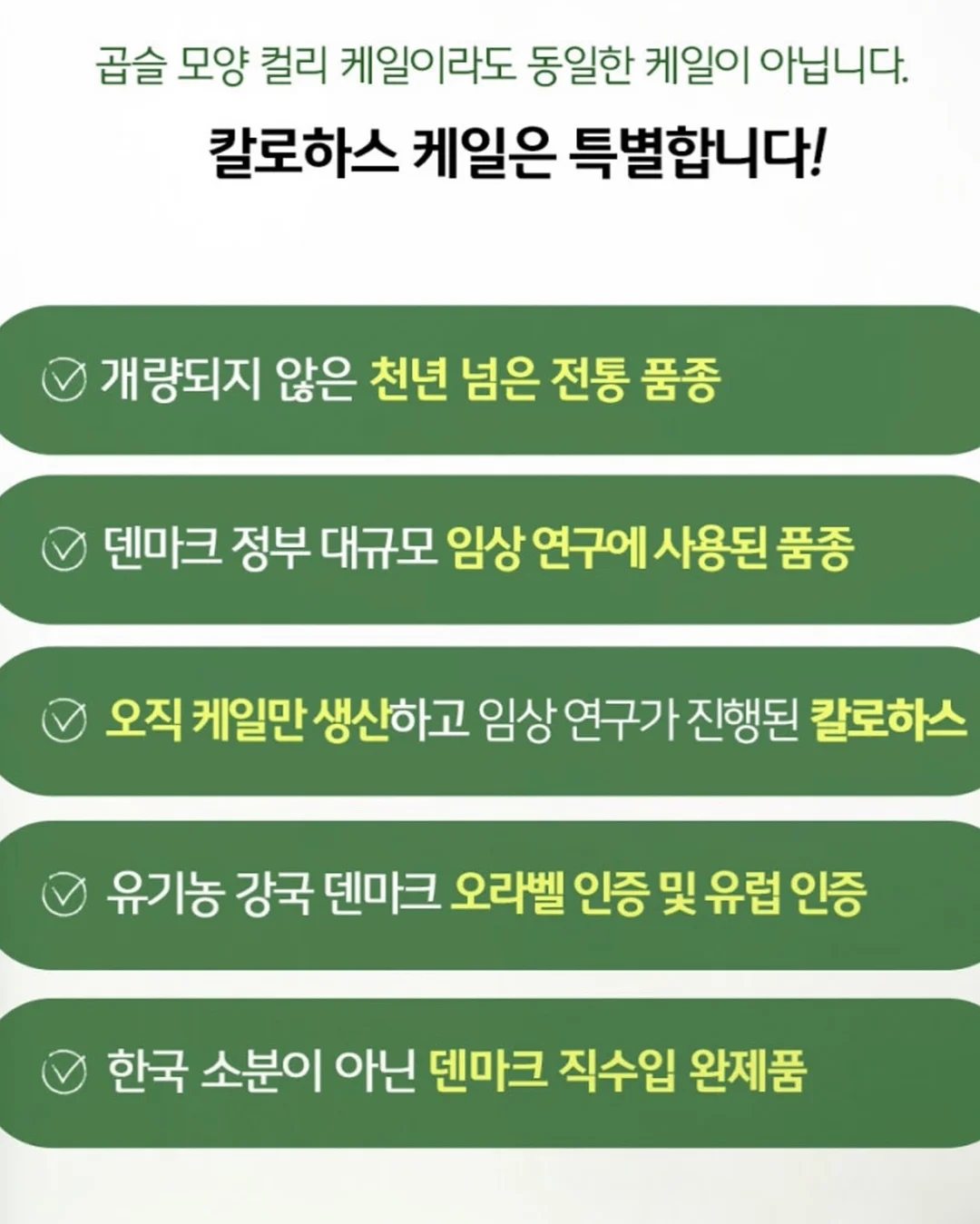 발렌스튜디오x레아레브 4