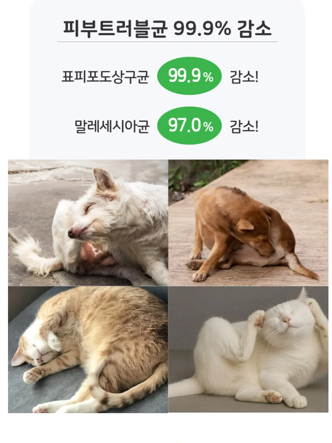 LED 뱅글뱅글 모기퇴치 밴드 4