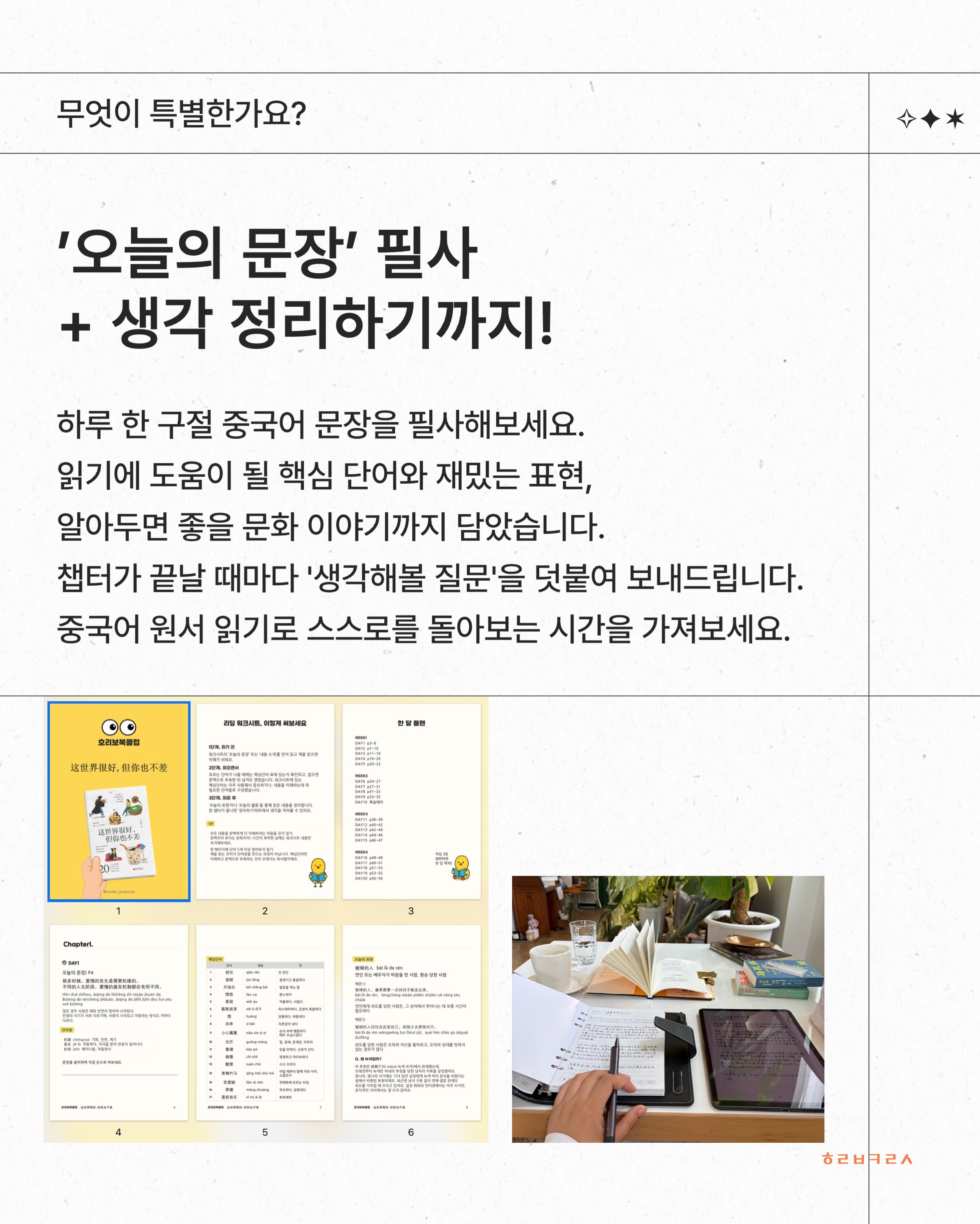리자몽 4