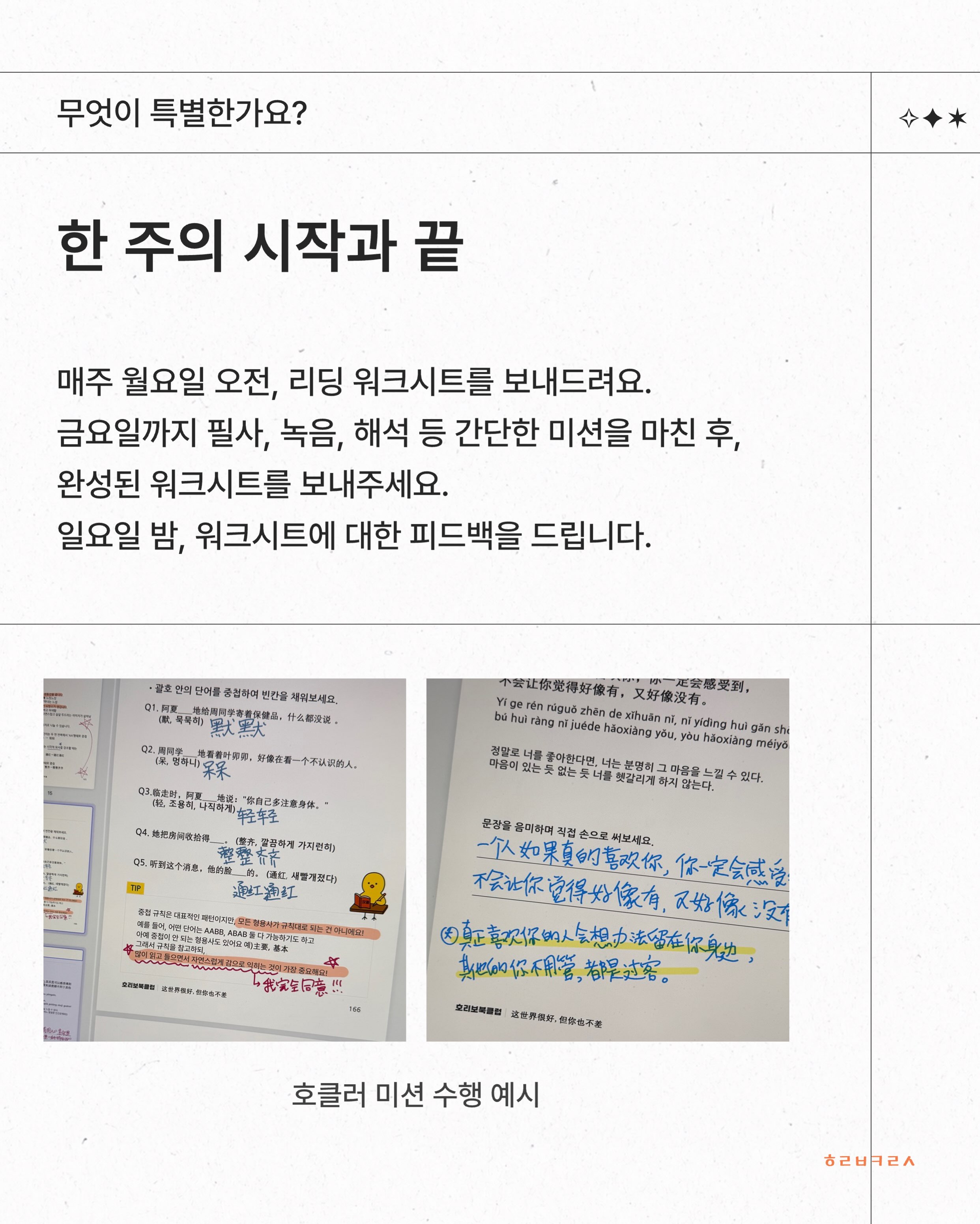 리자몽 5