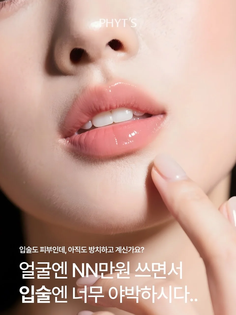 다람쥐 케이크 2