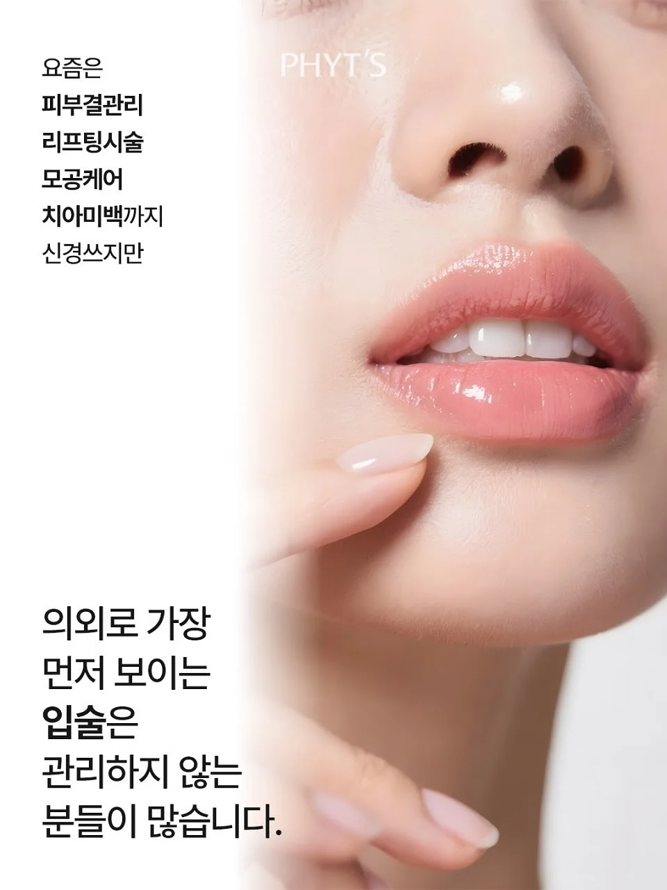 다람쥐 케이크 3
