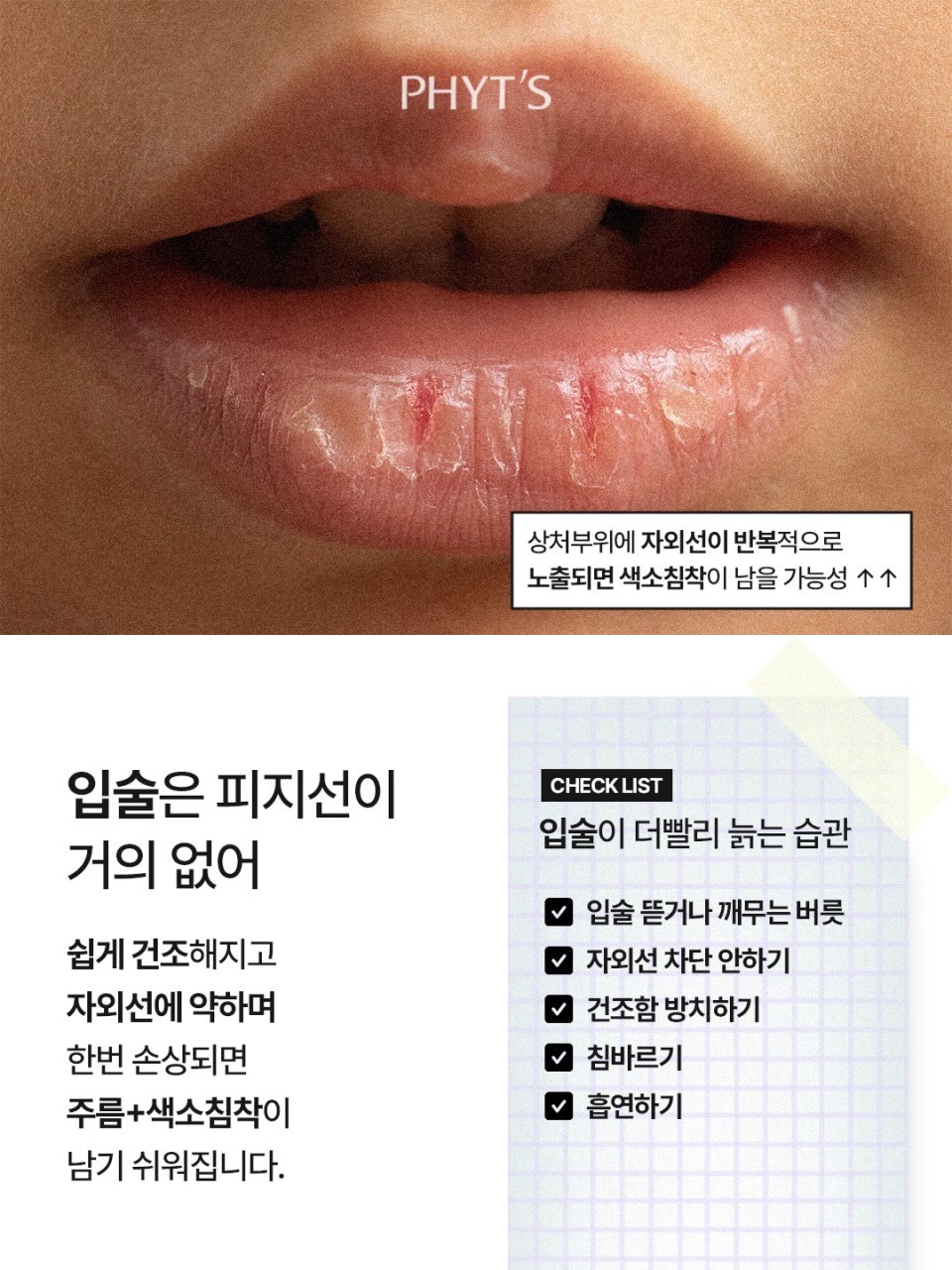 다람쥐 케이크 4
