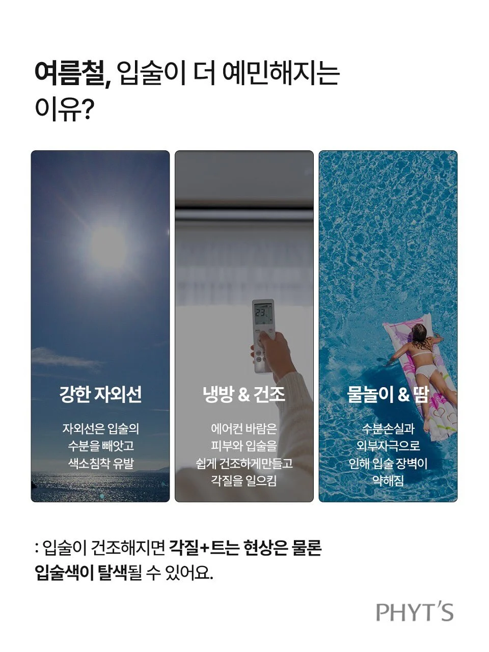 다람쥐 케이크 5