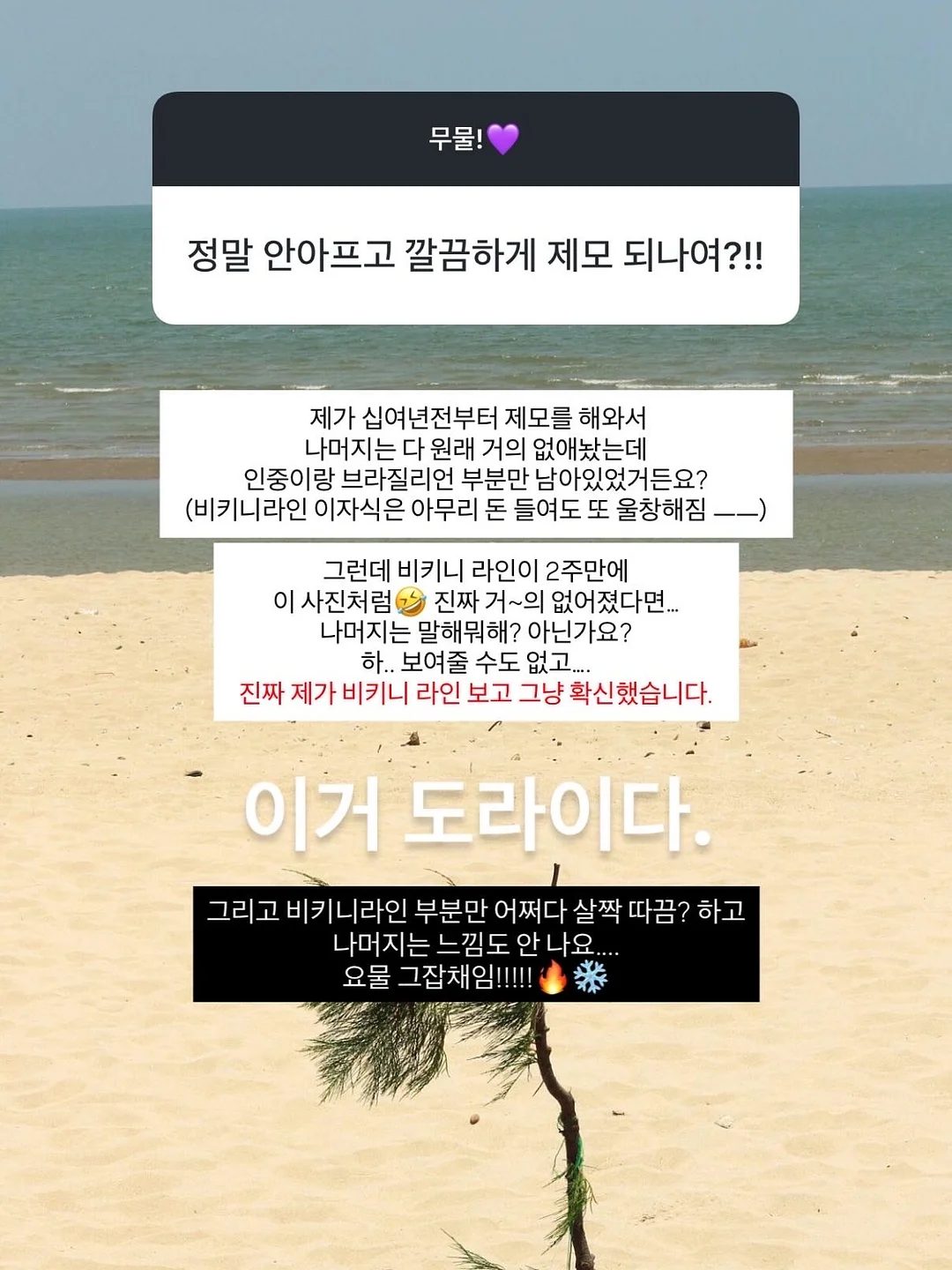 쉐이크베이비 마카다미아 티라미수맛 & 트리플베리 요거트맛 13