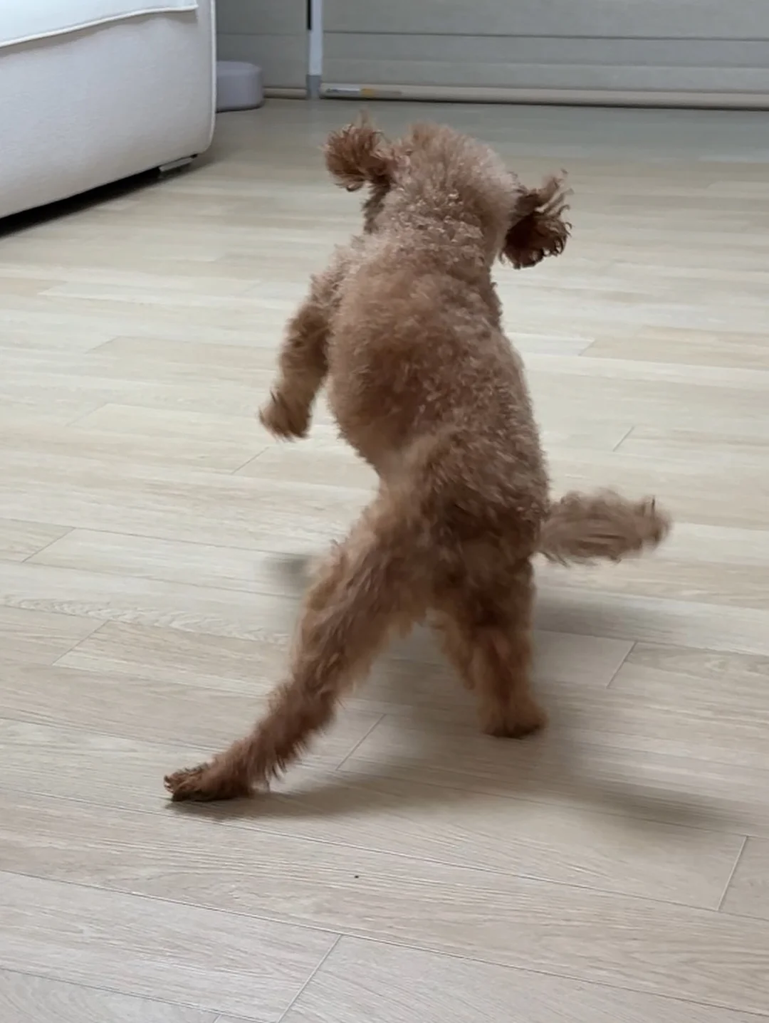 상하이 디즈니랜드 콤보 티켓 3